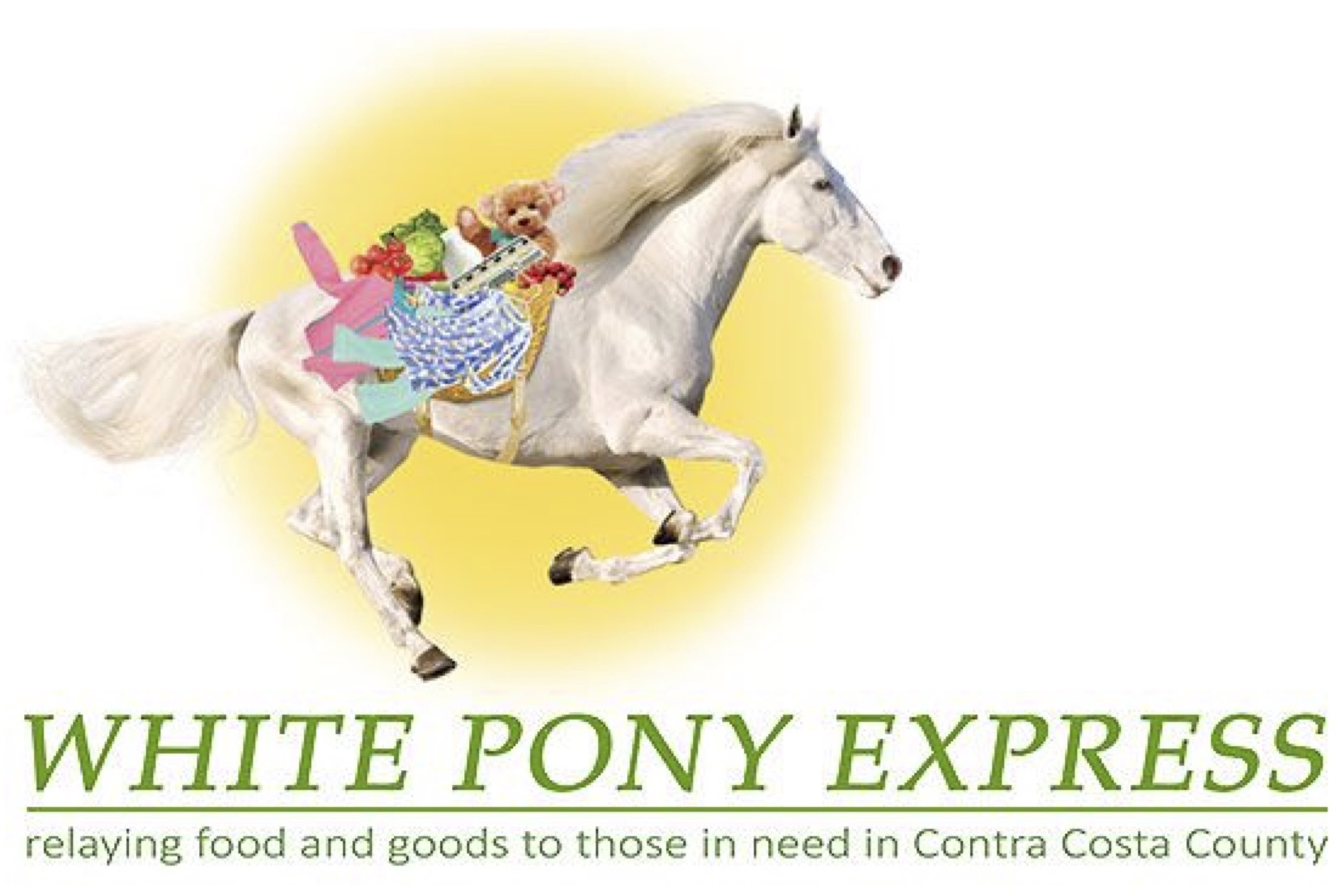 White Pony Express logo